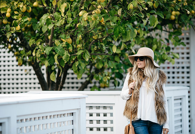 Fur-Get About It - Whiskey & Lace by Erika Altes