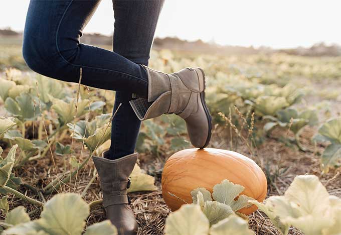 Whiskey & Lace Blog: Pumpkin Patch Fun 