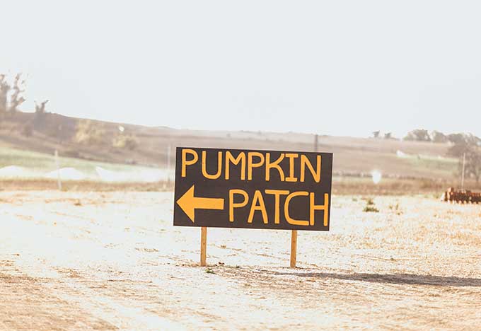 Whiskey & Lace Blog: Pumpkin Patch Fun 