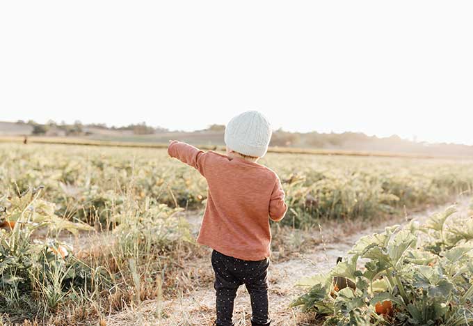 Whiskey & Lace Blog: Pumpkin Patch Fun 