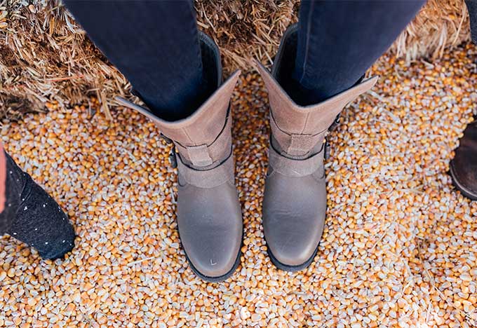 Whiskey & Lace Blog: Pumpkin Patch Fun 