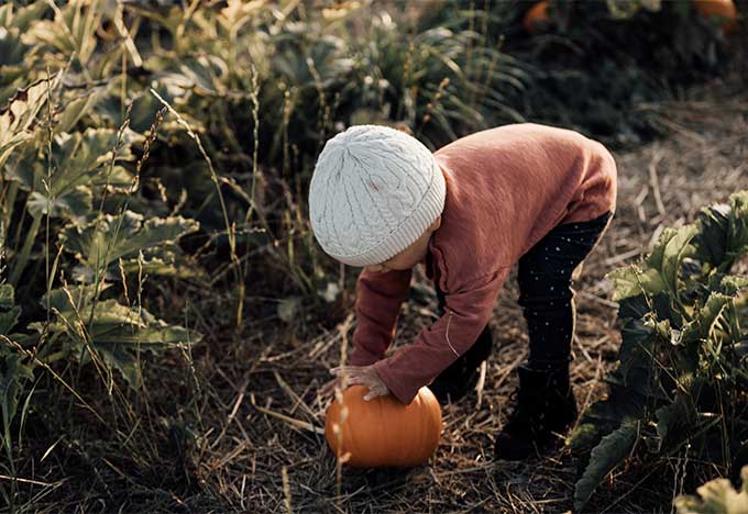Whiskey & Lace Blog: Pumpkin Patch Fun 