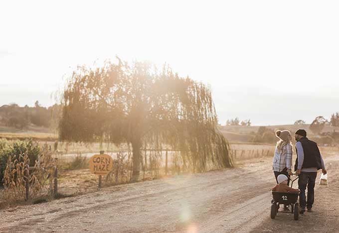 Whiskey & Lace Blog: Pumpkin Patch Fun