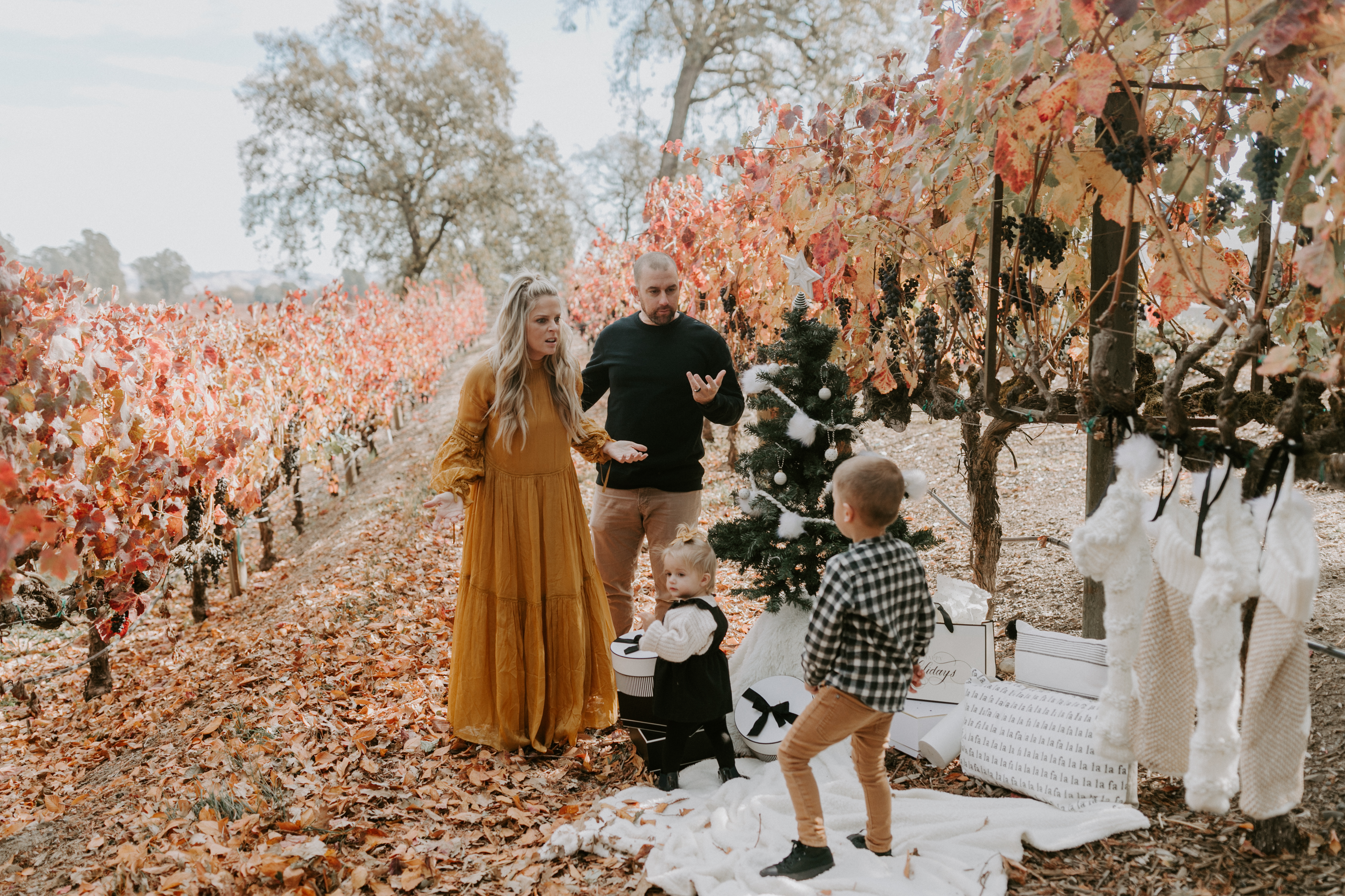 Merry Christmas Wishes and a Happy New Year from Us by popular North Carolina life and style blog, Whiskey and Lace: image of a family taking family Christmas pictures in a vineyard. 