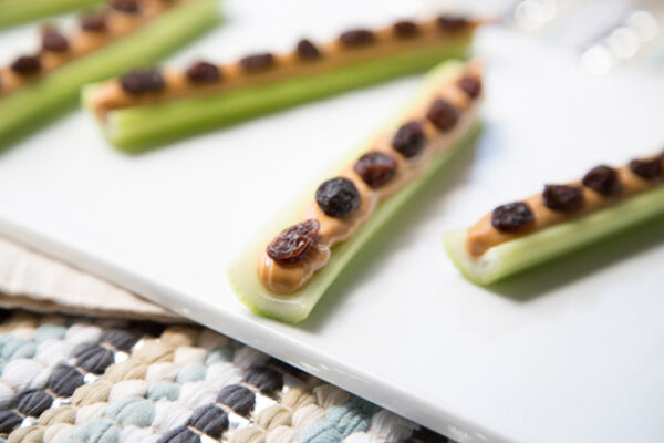Healthy Snack Ideas for Kids